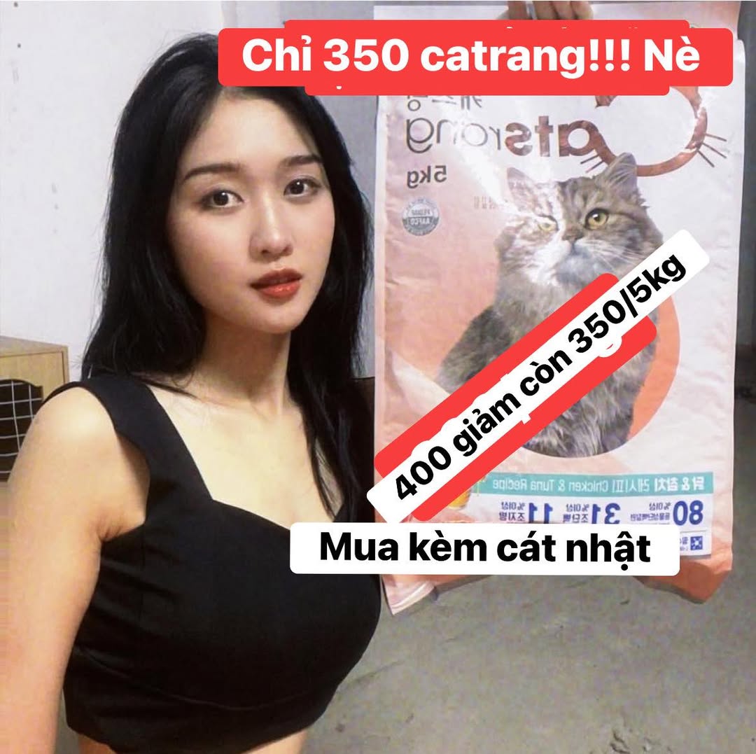 [🆕🇻🇳] Ruby Pet – Spa & Coffee 🐶🦜 Top1Pets 🐱🐠 Bình luận đã bị tắt cho bài viết này.
, shares-0✔️ , likes-1❤️️ , date-2025-09-17 22:37:58🐶🐱🇻🇳🇻🇳🇻🇳📰🆕