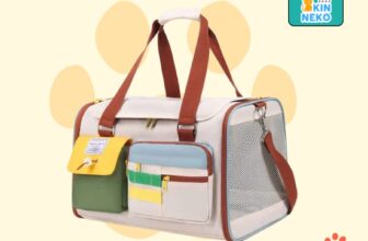 [🆕🇻🇳] Kin Neko PetShop – Cửa Hàng Thú Cưng 🐶🦜 Top1Pets 🐱🐠  BALO MỚI VỀ TẠI KIN NEKO PET SHOPNhà nhiều “Boss” thì càng cần có một chiếc balo xịn sò để đi chơi, đi spa. Với những chiếc balo mới này, Sen không còn , shares-0✔️ , likes-7❤️️ , date-2025-09-17 19:00:40🐶🐱🇻🇳🇻🇳🇻🇳📰🆕