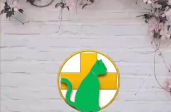 [🆕🇻🇳] Phòng Khám Thú Y Thuận Phát Vet 🐶🦜 Top1Pets 🐱🐠 Viêm tử cung tích mủ ở mèo và phương pháp điều trị
Phòng khám thú y Thuận Phát Vet
Địa chỉ: 486 Tô Ký, P. Trung Mỹ Tây, Q12 , shares-0✔️ , likes-2❤️️ , date-2025-09-16 04:27:29🐶🐱🇻🇳🇻🇳🇻🇳📰🆕