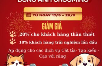 [🆕🇻🇳] Đông Anh Grooming-Cắt Tỉa Lông Thú Cưng 🐶🦜 Top1Pets 🐱🐠  𝐒𝐈𝐍𝐇 𝐍𝐇𝐀̣̂𝐓 𝐕𝐀̀𝐍𝐆 – 𝐔̛𝐔 Đ𝐀̃𝐈 𝐊𝐇𝐔̉𝐍𝐆𝐓𝐡𝐚𝐲 𝐜𝐡𝐨 𝐥𝐨̛̀𝐢 𝐜𝐚̉𝐦 𝐨̛𝐧 𝐜𝐡𝐚̂𝐧 𝐭𝐡𝐚̀𝐧𝐡 𝐧𝐡𝐚̂́𝐭, Đ𝐨̂𝐧𝐠 𝐀𝐧𝐡 𝐝𝐚̀𝐧𝐡 𝐭𝐚̣̆𝐧𝐠 đ𝐚̣𝐢 𝐭𝐢𝐞̣̂𝐜 𝐮̛𝐮 đ𝐚̃𝐢 𝐜𝐮̛̣𝐜 𝐥𝐨̛́𝐧 𝐭𝐮̛̀ 𝟏𝟕/𝟗 – 𝟐𝟖 , shares-10✔️ , likes-3❤️️ , date-2025-09-17 03:52:17🐶🐱🇻🇳🇻🇳🇻🇳📰🆕