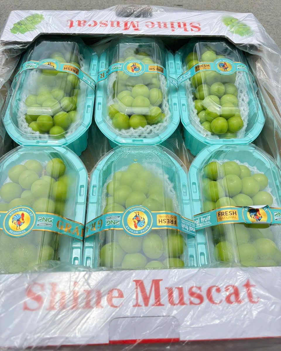 [🆕🇻🇳] Hoa Quả 4Mùa – Cửa hàng rau quả 🍔 Top1Food  🍜  #Nho_xanh_Mẫu_Đơn nhập khẩu 

hay được gọi là Nho Sữa, được trồng theo phương pháp hữu cơ trong nhà kính, nên nho sẽ hấp thụ được tối đa chất dinh dưỡng,  , shares-0✔️ , likes-0❤️️ , date-2025-09-16 22:01:10🇻🇳🇻🇳🇻🇳📰🆕