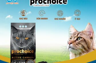 [🆕🇻🇳] An Việt Tiến 🐶🦜 Top1Pets 🐱🐠 𝑪𝒂́𝒕 𝒕𝒓𝒂̆́𝒏𝒈 𝑻𝒉𝒐̂̉ 𝑵𝒉𝒊̃ 𝑲𝒚̀ 𝑷𝒓𝒐𝒄𝒉𝒐𝒊𝒄𝒆
Bentonitte trắng chất lượng cao, cho khả năng kiểm soát mùi và thấm hút vượt trội.
99,9% không bụi
Lưu hương lâu và , shares-0✔️ , likes-4❤️️ , date-2025-09-15 23:01:42🐶🐱🇻🇳🇻🇳🇻🇳📰🆕