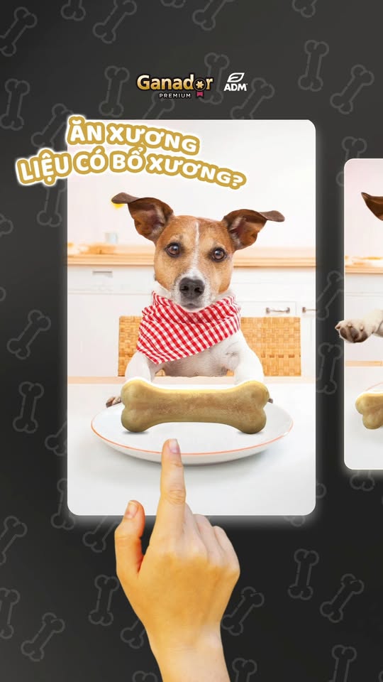 [🆕🇻🇳] Phòng Khám Thú Y Pet One  (CN Quận Tân Phú) 🐶🦜 Top1Pets 🐱🐠  𝐂𝐀̣𝐎 𝐕𝐎̂𝐈 𝐑𝐀̆𝐍𝐆 – 𝐁𝐈́ 𝐐𝐔𝐘𝐄̂́𝐓 𝐆𝐈𝐔̛̃ 𝐍𝐔̣ 𝐂𝐔̛𝐎̛̀𝐈 𝐊𝐇𝐎̉𝐄 𝐌𝐀̣𝐍𝐇 𝐂𝐇𝐎 𝐁𝐄́ 𝐂𝐔̛𝐍𝐆Bạn có biết?
𝐇𝐨̛𝐧 𝟕𝟎% chó trên 3 tuổi gặp vấn đề về răng miệng như hôi miệng , shares-0✔️ , likes-5❤️️ , date-2025-09-18 23:14:44🐶🐱🇻🇳🇻🇳🇻🇳📰🆕