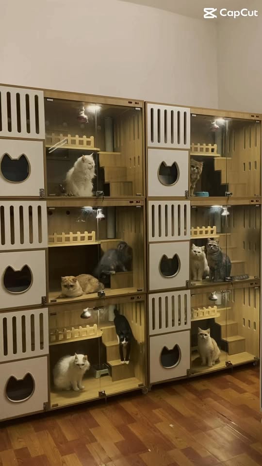 [🆕🇻🇳] Habi Pet – Hotel & Spa cho mèo 🐶🦜 Top1Pets 🐱🐠 ——————————————–
Habi Pet- Cat Hotel & Spa
Hotline: 0987.829.556
ĐC: Số 18, Ngách 105, Ngõ Xã Đàn 2, Đống Đa, Hà Nội (liên hệ  , shares-0✔️ , likes-2❤️️ , date-2025-09-18 00:25:48🐶🐱🇻🇳🇻🇳🇻🇳📰🆕
