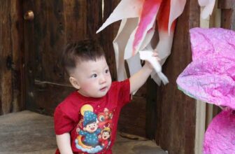 [🆕🇻🇳] Shop MẸ MƠ – THỜI TRANG TRẺ EM 🧑‍🧒❤️️👶⭐️ áo trung thu cho bé
shop dư
1 áo 7-9kg
1 áo 8-10kg
1 áo 14-16kg
ai lấy báo shop nha
#60k/1 áo ạ
, shares-0✔️ , likes-2❤️️ , date-2025-09-22 00:03:28🇻🇳🇻🇳🇻🇳📰🆕