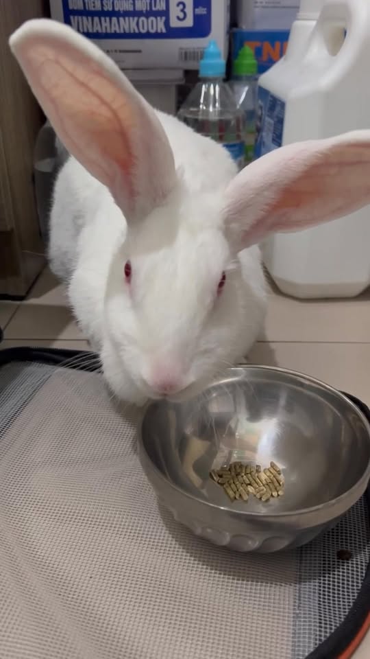 [🆕🇻🇳] 25 FIT hệ thống phòng tập công nghệ EMS Training ⛹️‍♂️ EMS x Pilates – Bộ môn tập luyện chỉ 25 phút – Giải pháp tập luyện cho người bận rộn!Bạn quá bận bịu để đến phòng gym mỗi ngày?Bạn muốn cải thiện vóc d , shares-0✔️ , likes-0❤️️ , date-2025-09-18 02:25:26🇻🇳🇻🇳🇻🇳📰🆕