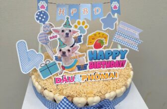 [🆕🇻🇳] Sunny Pate – Petfood Cần Thơ 🐶🦜 Top1Pets 🐱🐠 Sunny lên mẫu bánh sinh nhật pate tươi cho ba mẹ xem nha! Sắp tới sinh nhật bé mà hông biết đặt gì cho đặc biệt, thì gọi ngay cho bếp em nha!Only at 𝑺𝒖𝒏 , shares-1✔️ , likes-3❤️️ , date-2025-09-21 14:08:27🐶🐱🇻🇳🇻🇳🇻🇳📰🆕