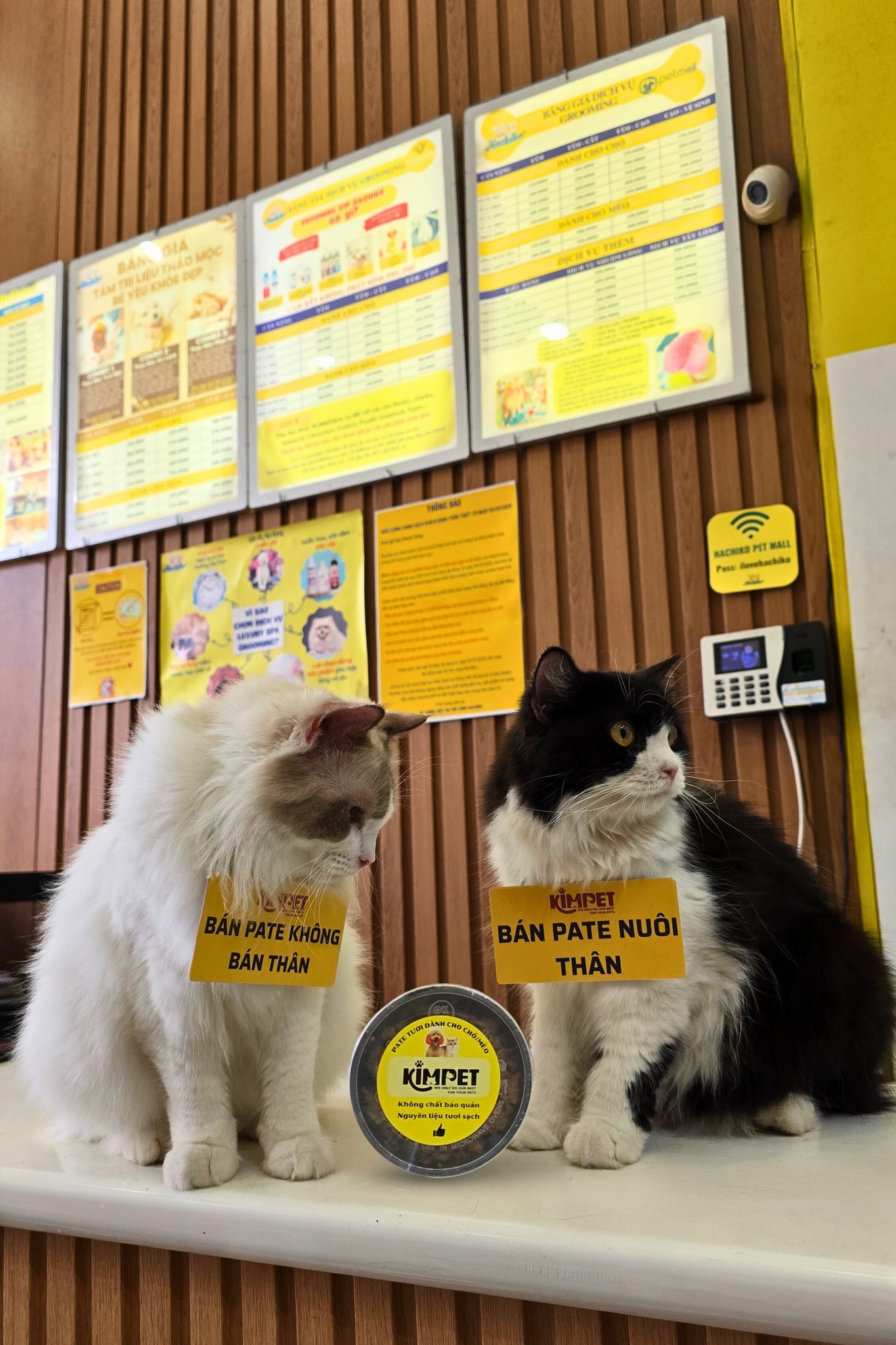 [🆕🇻🇳] Bull Bath – Cat Grooming & Hotel 🐶🦜 Top1Pets 🐱🐠 Nuốt sương sương trái dưa hấu——————————————————-
Bull Bath – Cat Grooming & Hotel
Số 2 cư xá Bình Minh, Dương Bá Trạc, P1,Q8 (Địa chỉ cũ)
Số 2 cư xá Bì , shares-0✔️ , likes-3❤️️ , date-2025-09-19 22:42:09🐶🐱🇻🇳🇻🇳🇻🇳📰🆕