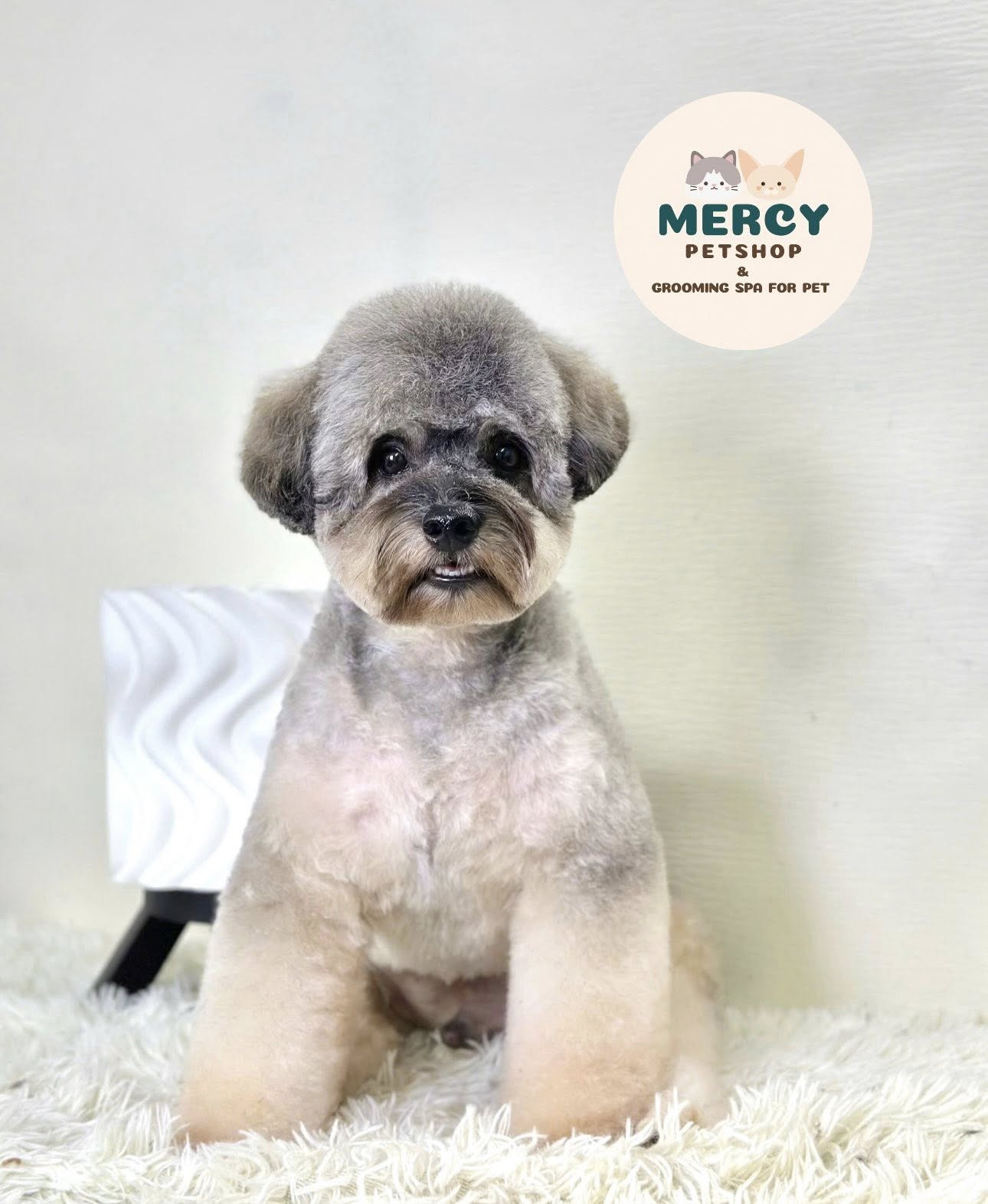 [🆕🇻🇳] Mercy – Petshop & Grooming Spa For Pet 🐶🦜 Top1Pets 🐱🐠  𝐁𝐢𝐞̂́𝐧 𝐇𝐢̀𝐧𝐡𝐊𝐡𝐨̂𝐧𝐠 𝐥𝐚̀𝐦 đ𝐚𝐮 𝐜𝐚́𝐜 𝐜𝐨𝐧 – 𝐊𝐡𝐨̂𝐧𝐠 𝐛𝐚̣𝐨 𝐥𝐮̛̣𝐜 𝐜𝐮̛𝐨̛̃𝐧𝐠 𝐞́𝐩 – 𝐊𝐡𝐨̂𝐧𝐠 𝐠𝐚̂𝐲 𝐒𝐭𝐫𝐞𝐬𝐬𝐐𝐮𝐲 𝐓𝐫𝐢̀𝐧𝐡 𝐓𝐚̆́𝐦 𝐓𝐢̉𝐚 𝐂𝐡𝐮𝐲𝐞̂𝐧 𝐍𝐠𝐡𝐢𝐞̣̂𝐩 𝟏𝟎-𝟏𝟏 𝐛𝐮̛𝐨̛́𝐜 sử d , shares-1✔️ , likes-3❤️️ , date-2025-09-22 20:15:01🐶🐱🇻🇳🇻🇳🇻🇳📰🆕