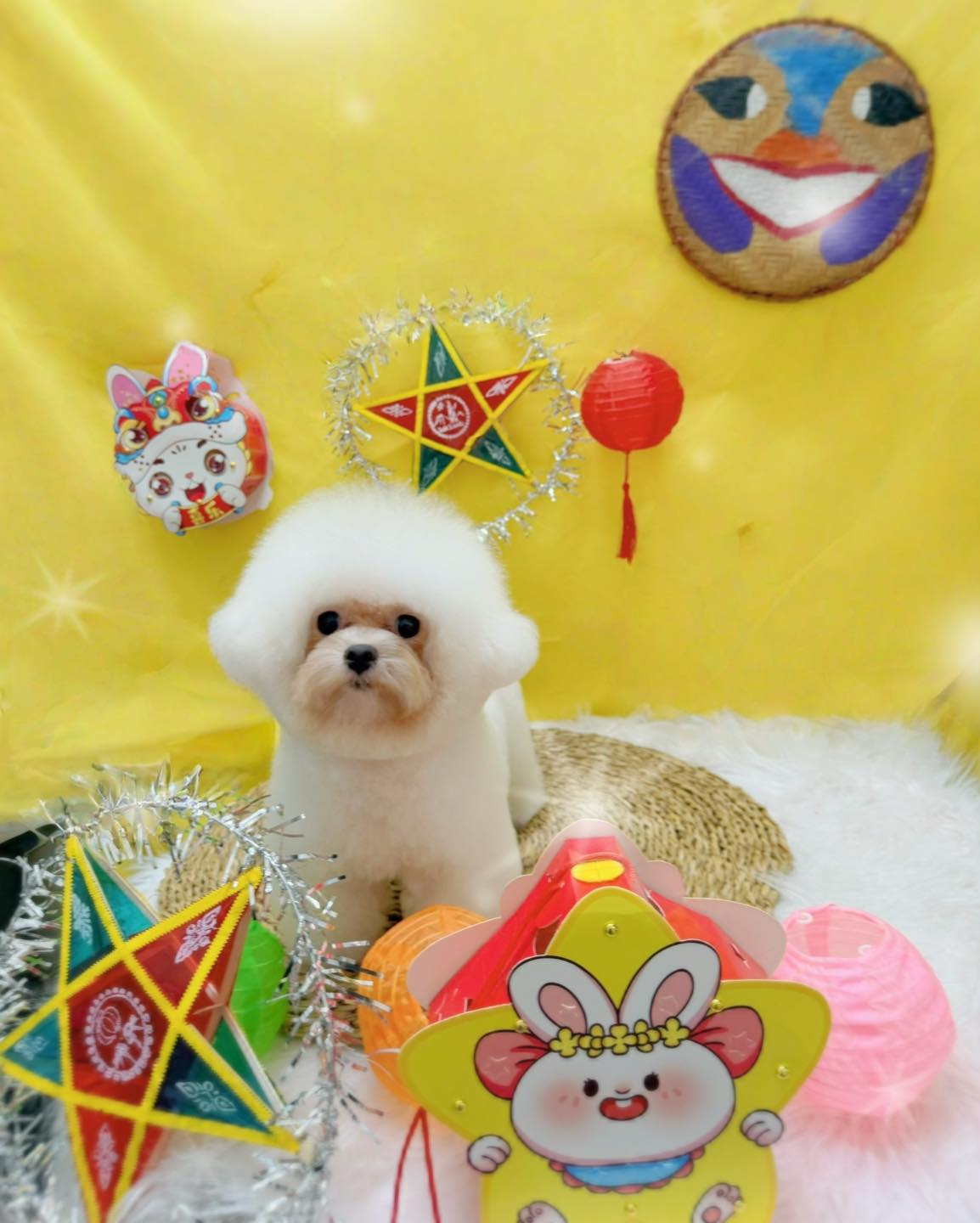 [🆕🇻🇳] Jookyli – thương hiệu thiết kế thời trang trẻ em cao cấp 🧑‍🧒❤️️👶⭐️  Bé xinh lung linh – Đông này không lạnh
Sale sốc BST Thu Đông – Mẹ rinh ngay kẻo hết!
, shares-0✔️ , likes-0❤️️ , date-2025-09-19 19:23:08🇻🇳🇻🇳🇻🇳📰🆕