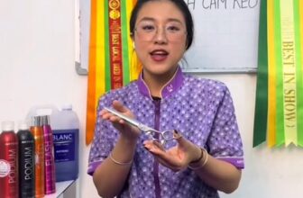 [🆕🇻🇳] ChuChu Pet 🐶🦜 Top1Pets 🐱🐠  Full video hướng dẫn “CÁCH CẦM KÉO CHUẨN” cho anh chị em đây rồi nè!Video có hơi dài xíu, nhưng đảm bảo toàn bí kíp xịn sò từ ChuChu Pet & Võ Thanh Ngâ , shares-0✔️ , likes-1❤️️ , date-2025-10-11 16:30:01🐶🐱🇻🇳🇻🇳🇻🇳📰🆕