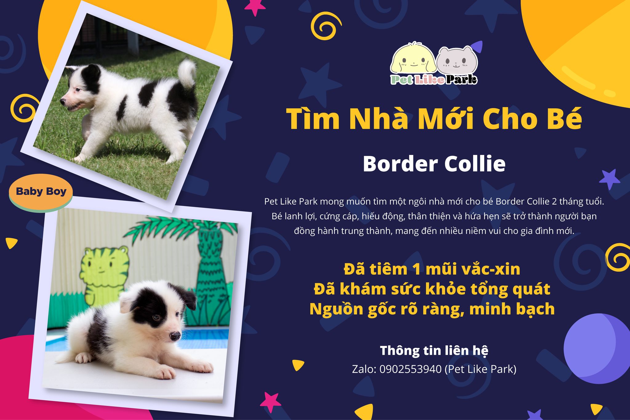 [🆕🇻🇳] Pet Like Park 🐶🦜 Top1Pets 🐱🐠  Tìm Nhà Mới Cho Bé Border CollieXin chào cả nhà, Pet Like Park đang muốn tìm một ngôi nhà mới thật yêu thương cho bé Border Collie 2 tháng tuổi.
Bé có , shares-3✔️ , likes-11❤️️ , date-2025-09-23 18:38:10🐶🐱🇻🇳🇻🇳🇻🇳📰🆕