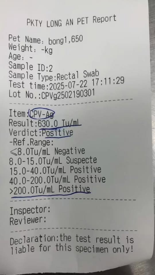 [🆕🇻🇳] Pet Prince 🐶🦜 Top1Pets 🐱🐠  PET PRINCE – HỖ TRỢ HOẠT ĐỘNG ACTIVATION TẠI ĐIỂM BÁN, GIA TĂNG GIÁ TRỊ CHO ĐẠI LÝTrong thời gian qua, Pet Prince đã đồng hành cùng các đại lý triển k , shares-0✔️ , likes-19❤️️ , date-2025-09-18 23:14:22🐶🐱🇻🇳🇻🇳🇻🇳📰🆕