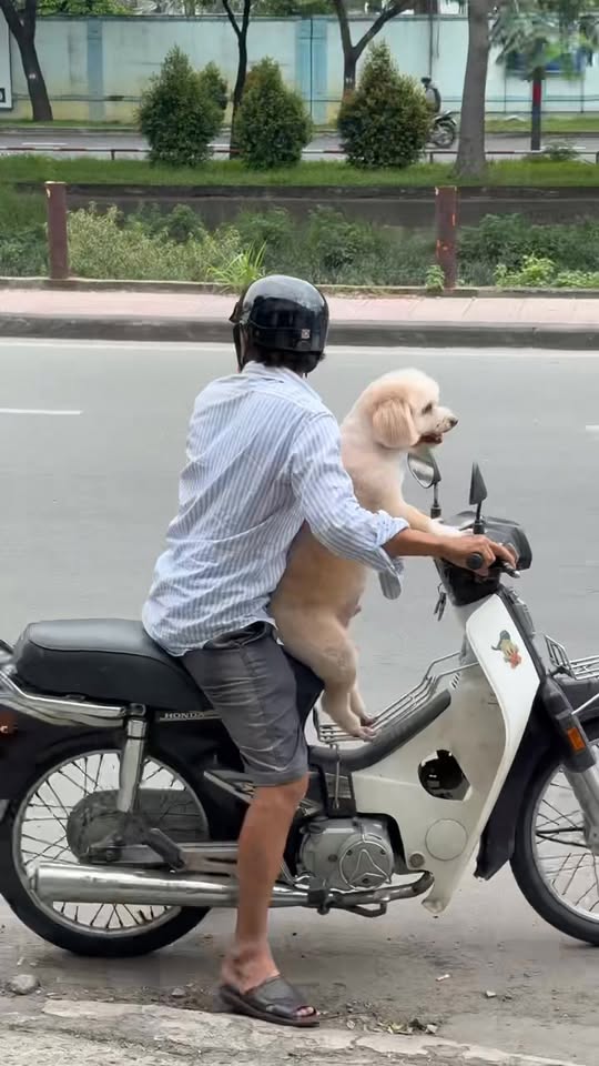 [🆕🇻🇳] TPBank – Ngân hàng TMCP Tiên Phong ♥️️📚  Thông báo kết quả minigame tại Booth TPBank Em Xinh “Say Hi” Concert Đêm 1!!Không để các Xinhiu chờ lâu nữa, Bank Tím đã tìm ra FC gửi nhiều tim và lời n , shares-73✔️ , likes-3K❤️️ , date-2025-09-23 01:36:51🇻🇳🇻🇳🇻🇳📰🆕