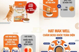 [🆕🇻🇳] Max Well VN – thức ăn cho mèo thuộc tập đoàn Unicharm, Nhật Bản 🐶🦜 Top1Pets 🐱🐠 OUT TRÌNH NHƯ HẠT MAX WELL:
CHUẨN NHẬT, CHUẨN GU BOSSHạt nhỏ dễ tiêu hóa
Công thức tốt cho thận
Nhập khẩu chuẩn Nhật từ UnicharmNAY VỚI PHIÊN B , shares-1✔️ , likes-30❤️️ , date-2025-09-23 03:01:24🐶🐱🇻🇳🇻🇳🇻🇳📰🆕