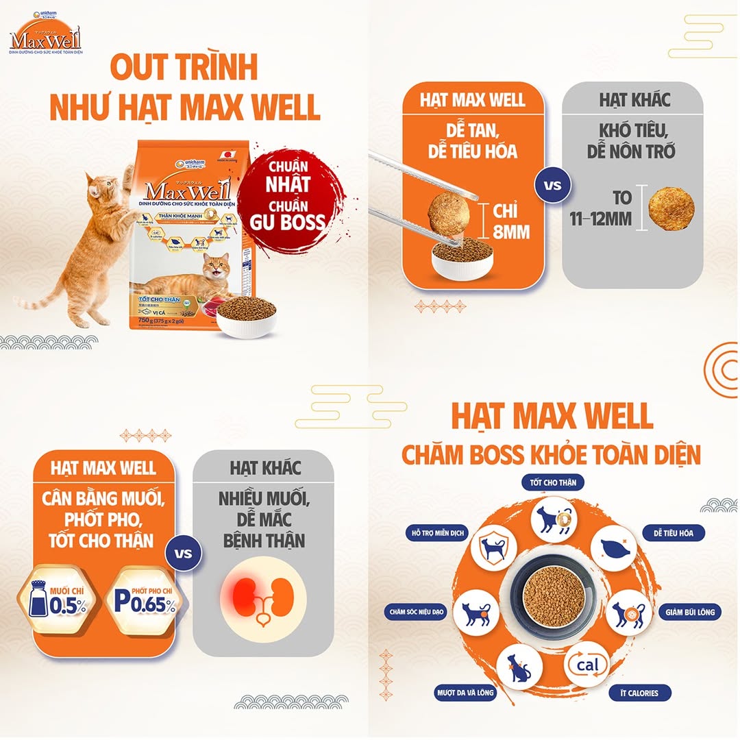 [🆕🇻🇳] Học Tiếng Anh cùng SAM – chuyên luyện thi môn Tiếng Anh Cấp 1,2,3 & IELTS tại Hà Nội 📚 Top1Learn 📕  Cô Phương Nga – tấm gương của “Ham học & Lan tỏa giá trị” tại SAMỞ SAM, chúng mình luôn tự hào vì có những giáo viên không ngừng học hỏi, không ngừng c , shares-3✔️ , likes-44❤️️ , date-2025-09-23 03:00:54🇻🇳🇻🇳🇻🇳📰🆕