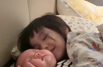 [🆕🇻🇳] Sosa Room – 𝗛𝗼𝗺𝗲 𝘄𝗶𝘁𝗵 𝗸𝗶𝗱𝘀 🧑‍🧒❤️️👶⭐️ Mùi sữa mà sao dễ ghiền gì đâu , shares-0✔️ , likes-7❤️️ , date-2025-09-22 02:02:02🇻🇳🇻🇳🇻🇳📰🆕