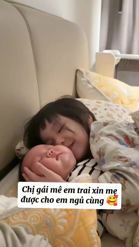 [🆕🇻🇳] Tí Hon là thương hiệu thời trang trẻ em cao cấp 😎❤️️⭐️ Đ𝐨́𝐧 𝐓𝐞̂́𝐭 𝐓𝐫𝐮𝐧𝐠 𝐓𝐡𝐮, 𝐛𝐞́ 𝐭𝐡𝐞̂𝐦 𝐩𝐡𝐚̂̀𝐧 𝐫𝐚̣𝐧𝐠 𝐫𝐨̛̃!
Link sản phẩm:Set đồ đỏ năng động, cá tính cho bé trai, họa tiết hổ con cực ‘chất’. Hứa hẹn sẽ là l , shares-0✔️ , likes-5❤️️ , date-2025-09-22 02:01:00🇻🇳🇻🇳🇻🇳📰🆕