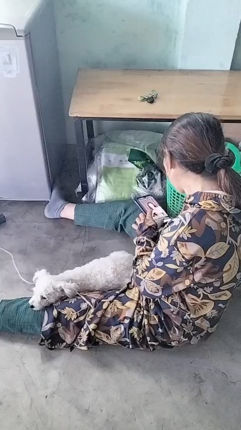 [🆕🇻🇳] Tiệm Thú Cưng Nhà Lúa – Hotel & Spa Cắt Tỉa Lông Thú Cưng Bình Dương 🐶🦜 Top1Pets 🐱🐠 Kiểu này sao ngừng hott được
#mỹhậunguyễn  #tiemthucungnhalua  #SpaThúcưngBìnhDương  #CắttỉalôngchómèoBìnhDương , shares-0✔️ , likes-6❤️️ , date-2025-09-24 03:14:55🐶🐱🇻🇳🇻🇳🇻🇳📰🆕