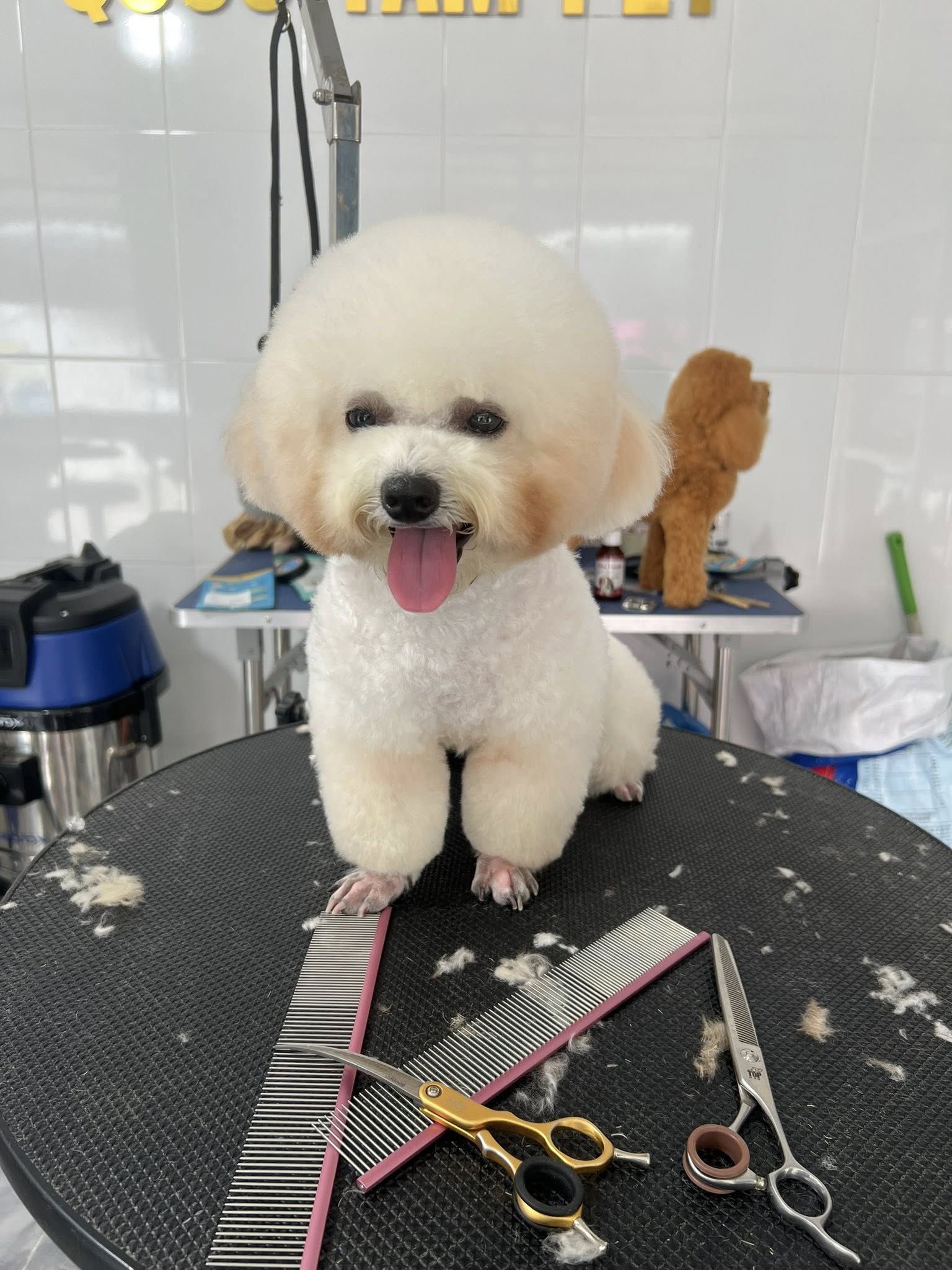 [🆕🇻🇳] QUỐC TÂM PET – Dịch vụ thú cưng 🐶🦜 Top1Pets 🐱🐠 Bình luận đã bị tắt cho bài viết này.
, shares-0✔️ , likes-1❤️️ , date-2025-09-25 12:07:12🐶🐱🇻🇳🇻🇳🇻🇳📰🆕