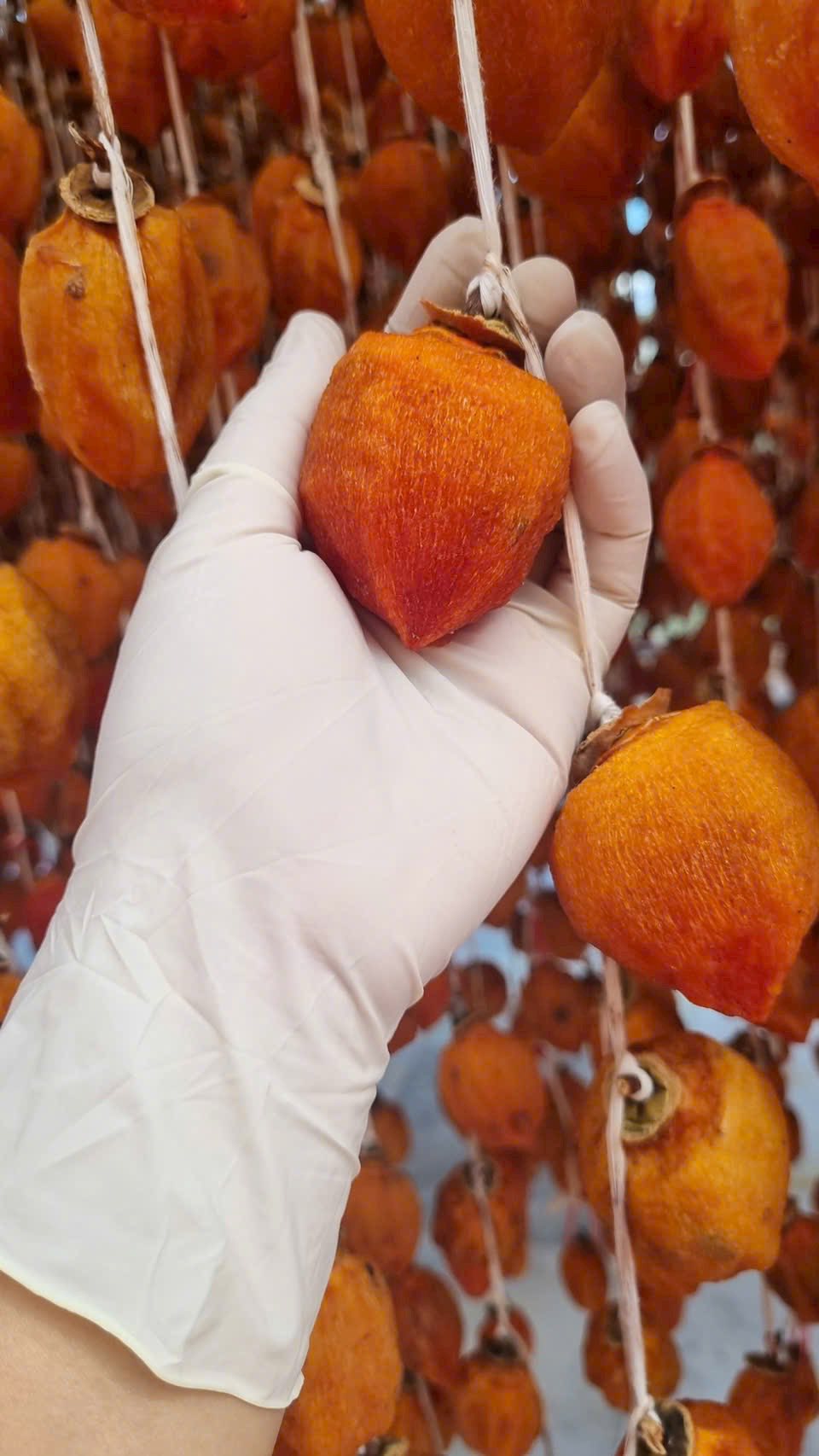 [🆕🇻🇳] Bỏ túi 10 dịch vụ chụp ảnh du lịch tại Hội An mới nhất 10/2025