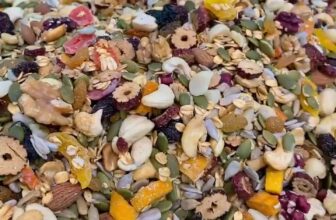 [🆕🇻🇳] Thực Phẩm An Toàn Lê Minh 🍔 Top1Food  🍜 LẤY LẠI VÓC DÁNG CÙNG GRANOLA SIÊU HẠTNgủ cốc Granola siêu hạt gồm: Hạnh nhân, óc chó, hạt bí xanh, hướng dương, điều,yến mạch (chỉ 10%), nho khô, táo đ , shares-0✔️ , likes-0❤️️ , date-2025-09-23 23:00:55🇻🇳🇻🇳🇻🇳📰🆕