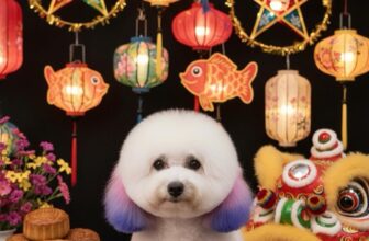 [🆕🇻🇳] Đảo Thú Cưng – Long Thành 🐶🦜 Top1Pets 🐱🐠  “Đ𝐎̣̂ 𝐍𝐇𝐀𝐍 𝐒𝐀̆́𝐂” đ𝐨́𝐧 “𝐓𝐑𝐔𝐍𝐆 𝐓𝐇𝐔”  𝐂𝐡𝐨 𝐜𝐚́𝐜 𝐜𝐨𝐧 𝐭𝐡𝐨̂𝐢𝐢𝐢𝐢𝐢
𝐵𝑎 𝑚𝑒̣ 𝑐ℎ𝑜 𝑐𝑎́𝑐 𝑐𝑜𝑛 𝐺ℎ𝑒́ 𝑐𝑜̂ 𝑐ℎ𝑢́ 𝑛ℎ𝑎̀ “Đ𝑎̉𝑜” 𝑠𝑝𝑎 𝑐ℎ𝑢̣𝑝 𝑎̉𝑛ℎ 𝑡𝑟𝑢𝑛𝑔 𝑡ℎ𝑢 𝑐ℎ𝑜 𝑡𝑢̣𝑖 𝑐𝑜𝑛 𝑛ℎ𝑒́, shares-0✔️ , likes-5❤️️ , date-2025-09-21 18:58:46🐶🐱🇻🇳🇻🇳🇻🇳📰🆕