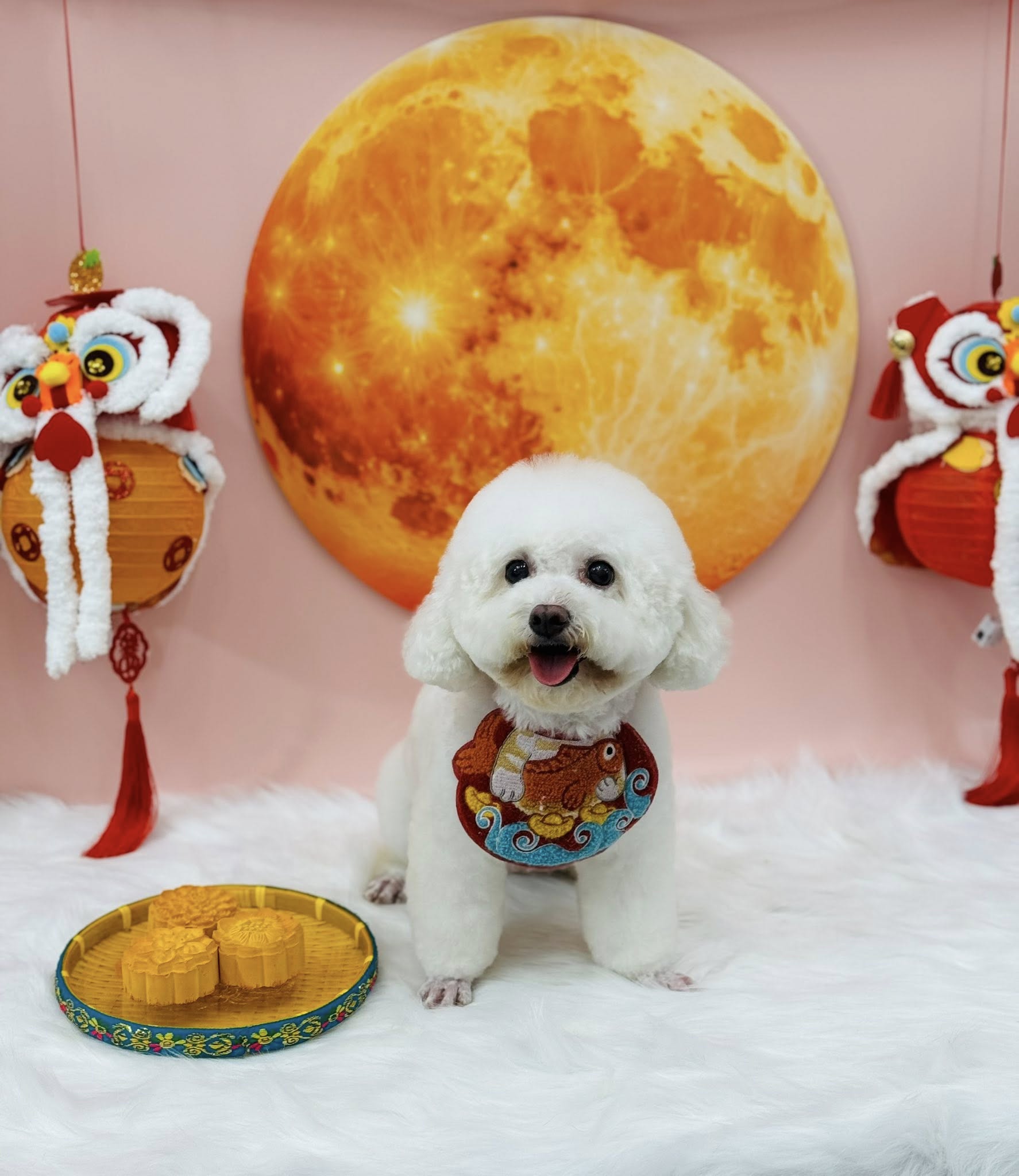 [🆕🇻🇳] Mymy Pet House – Tiệm Làm Đẹp Thú Cưng. 162 Nguyễn Huy Tưởng 🐶🦜 Top1Pets 🐱🐠 Ước gì ngày nào cũng là Trung thu, để mình có cớ rủ crush đi chơi.
, shares-0✔️ , likes-0❤️️ , date-2025-09-26 20:19:28🐶🐱🇻🇳🇻🇳🇻🇳📰🆕