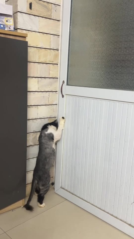 [🆕🇻🇳] Showroom Dương Motor 🚗 Top1Go 🏍️  Yamaha R15V3Model 2018Odo 13kHình thức sạch sẽ , máy móc nguyên rinnnZá mềm 3x miniO-9-7-4-8-4-7-5-5-3 huyCó p.án gó.p và tr.ao đổ.i xe52 Le , shares-0✔️ , likes-11❤️️ , date-2025-09-25 17:04:12🇻🇳🇻🇳🇻🇳📰🆕