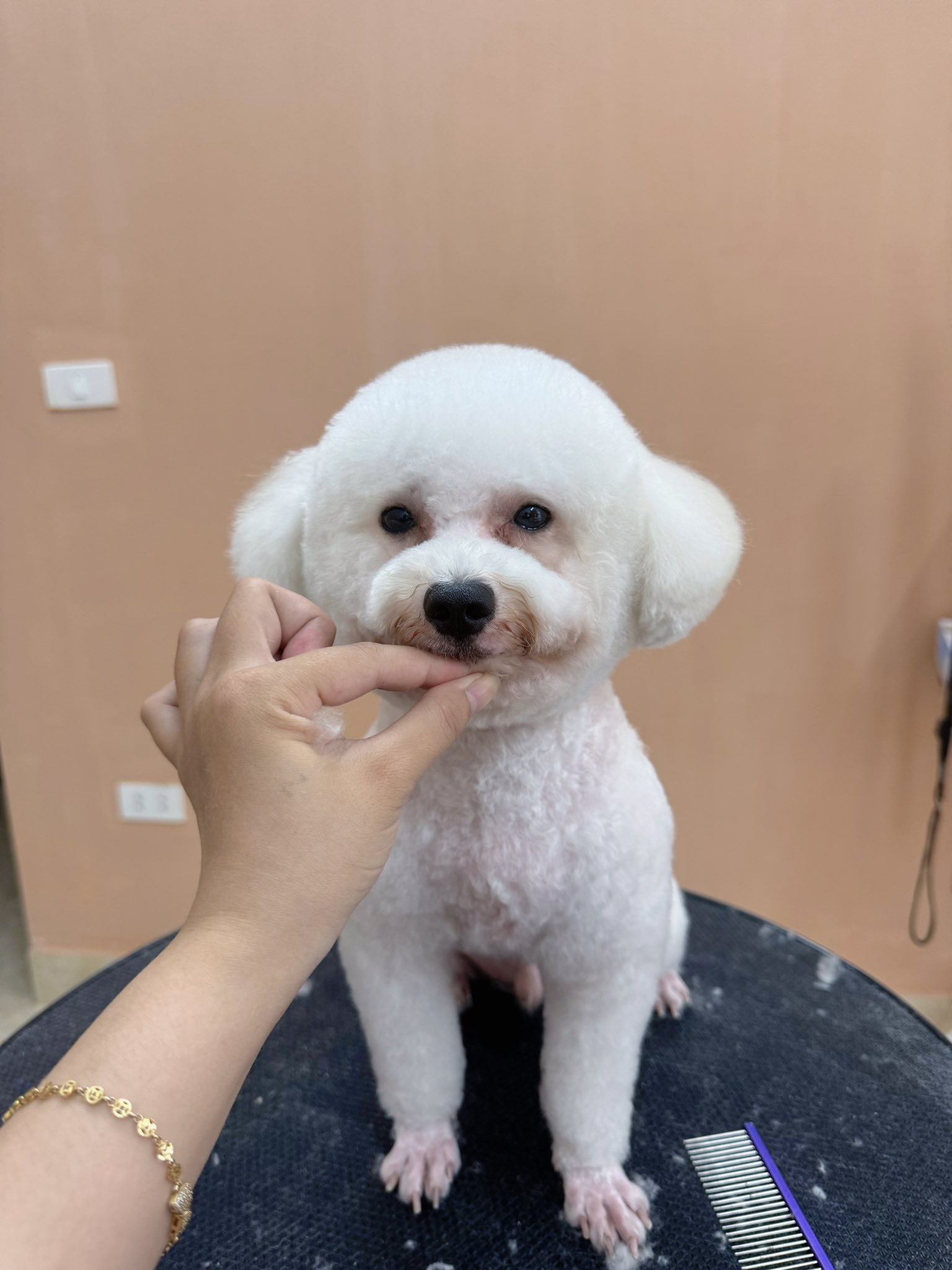 [🆕🇻🇳] LaPaw – sản phẩm chăm sóc thú cưng hàng đầu Việt Nam 🐶🦜 Top1Pets 🐱🐠  RAIN CATS & DOGS – YÊU THƯƠNG TIẾP NỐIChiến dịch Rain Cats & Dogs tiếp tục được lan tỏa khi LaPaw và MayCha đã trao tặng 1 tấn hạt dinh dưỡng cho các b , shares-1✔️ , likes-13❤️️ , date-2025-09-24 19:02:18🐶🐱🇻🇳🇻🇳🇻🇳📰🆕