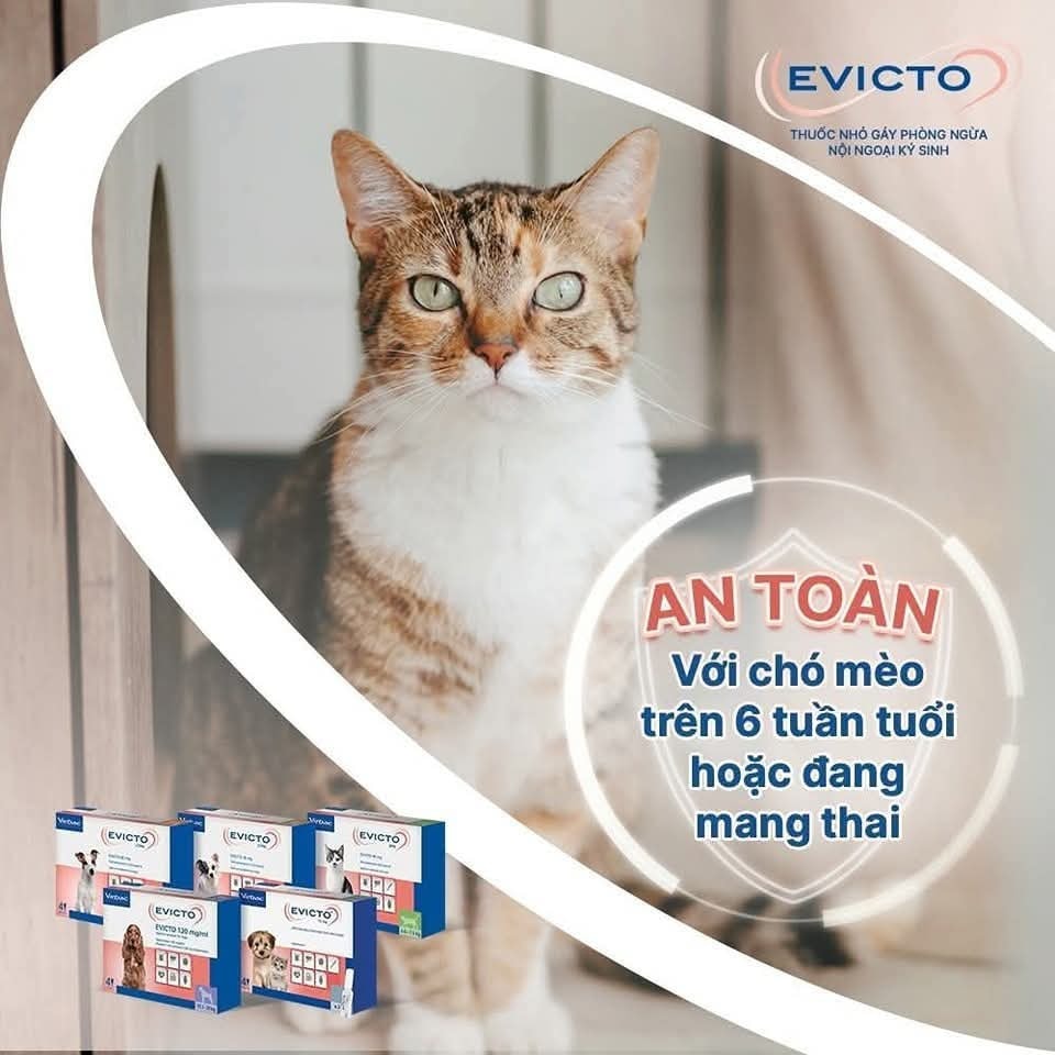 [🆕🇻🇳] Siêu Thị Thú Cưng Sa Đéc 🐶🦜 Top1Pets 🐱🐠  𝐓𝐡𝐮𝐨̂́𝐜 𝐍𝐡𝐨̉ 𝐍𝐨̣̂𝐢 + 𝐍𝐠𝐨𝐚̣𝐢 𝐊𝐲́ 𝐒𝐢𝐧𝐡 𝐄𝐕𝐈𝐂𝐓𝐎 𝐝𝐚̀𝐧𝐡 𝐂𝐡𝐨 𝐂𝐡𝐨́/𝐌𝐞̀𝐨 – 𝐕𝐢𝐫𝐛𝐚𝐜
Phương pháp phòng ngừa nội ngoại ký sinh từ nhà Virbac với hoạt chất selamecti , shares-0✔️ , likes-0❤️️ , date-2025-09-25 04:51:10🐶🐱🇻🇳🇻🇳🇻🇳📰🆕