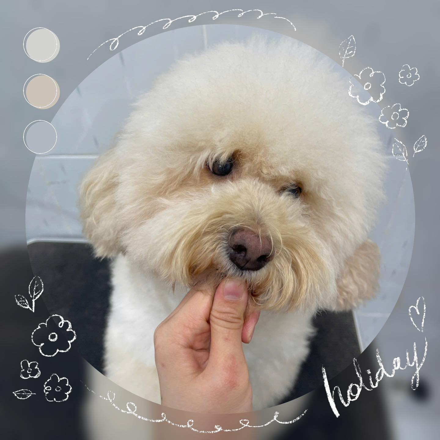 [🆕🇻🇳] Bệnh Viện Thú Y 2VET Long Biên 🐶🦜 Top1Pets 🐱🐠 THÚ CƯNG CHƯA TRIỆT SẢN? ĐÂY LÀ NHỮNG RỦI RO BÉ CÓ THỂ GẶP PHẢI
Triệt sản không chỉ liên quan đến việc kiểm soát số lượng thú cưng, mà còn đóng vai trò qua , shares-0✔️ , likes-3❤️️ , date-2025-09-27 16:58:12🐶🐱🇻🇳🇻🇳🇻🇳📰🆕