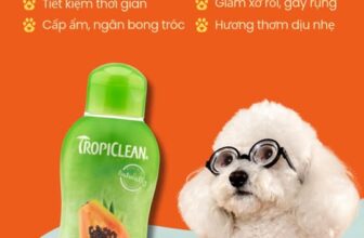 [🆕🇻🇳] CPC PetCare 🐶🦜 Top1Pets 🐱🐠 Sạch – Mượt – Thơm – An toàn chỉ trong một bước!Với TropiClean Luxury 2in1, từng lần gội là một lần Ba mẹ gửi trọn sự chăm sóc yêu thương:
Làm sạch dịu , shares-0✔️ , likes-8❤️️ , date-2025-09-24 04:29:39🐶🐱🇻🇳🇻🇳🇻🇳📰🆕