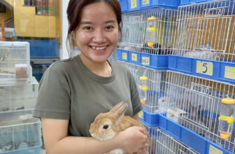 [🆕🇻🇳] PetXinh.net – Nhím kiểng, Hamster, Thỏ, Sóc 🐶🦜 Top1Pets 🐱🐠  Ngắm nhìn nụ cười của bạn là động lực để tụi mình cố gắng làm việc mỗi ngày đó ( các bé thỏ chia sẻ )Mãi yêu mọi người
, shares-0✔️ , likes-7❤️️ , date-2025-10-13 02:40:00🐶🐱🇻🇳🇻🇳🇻🇳📰🆕