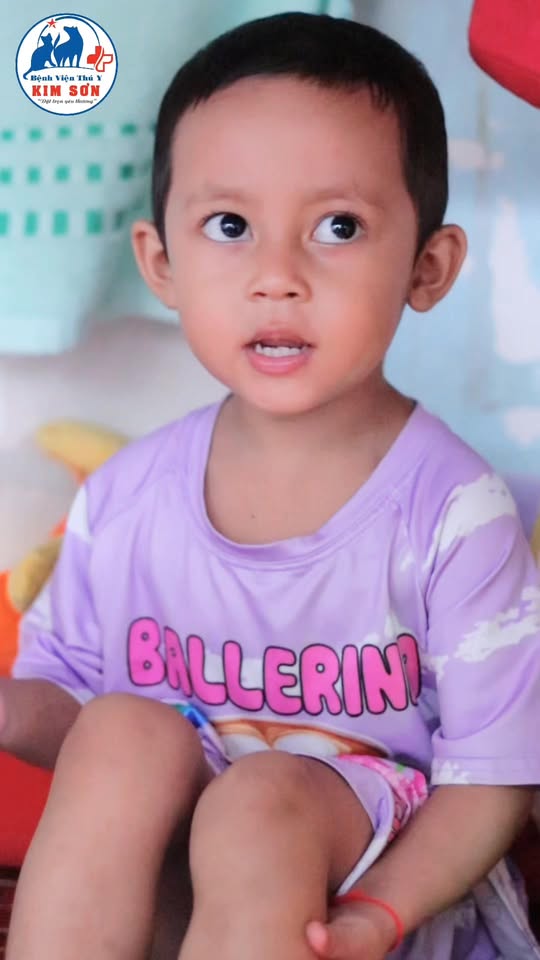 [🆕🇻🇳] Bệnh Viện Thú Y Kim Sơn Quận 3 🐶🦜 Top1Pets 🐱🐠 Hôm nay thú y Kim Sơn có dịp ghé thăm ngôi nhà Rum-Mi, 1 bếp ăn 0đ dành cho bệnh nhân ung thư, mang theo những phần quà Trung Thu nhỏ xinh gửi tặng đến các , shares-0✔️ , likes-5❤️️ , date-2025-09-27 19:03:23🐶🐱🇻🇳🇻🇳🇻🇳📰🆕