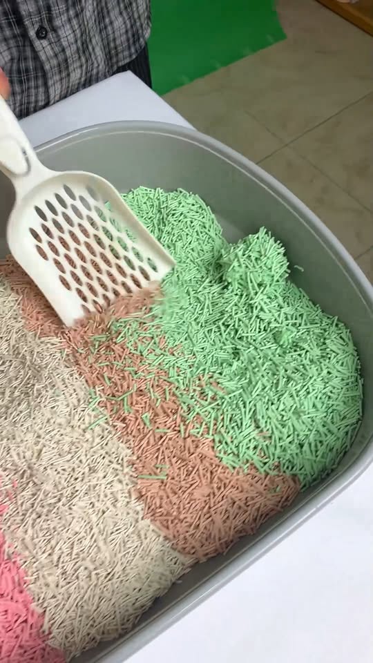 [🆕🇻🇳] PetChoice PetShop  🐶🦜 Top1Pets 🐱🐠 Mua combo tiết kiệm hơn mua lẻ là rõ nha mấy mom , shares-0✔️ , likes-0❤️️ , date-2025-09-25 22:43:30🐶🐱🇻🇳🇻🇳🇻🇳📰🆕