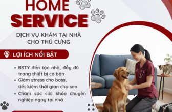 [🆕🇻🇳] TrustVet Animal Hospital – Bệnh Viện Thú Y 🐶🦜 Top1Pets 🐱🐠 ” TrustVet Home Service – Khám tận nhà cho Boss!
Không phải lúc nào boss cũng hợp tác để ra khỏi nhà, hoặc có những bé lớn tuổi – bệnh nặng cần sự an toàn, , shares-2✔️ , likes-3❤️️ , date-2025-09-26 02:00:51🐶🐱🇻🇳🇻🇳🇻🇳📰🆕