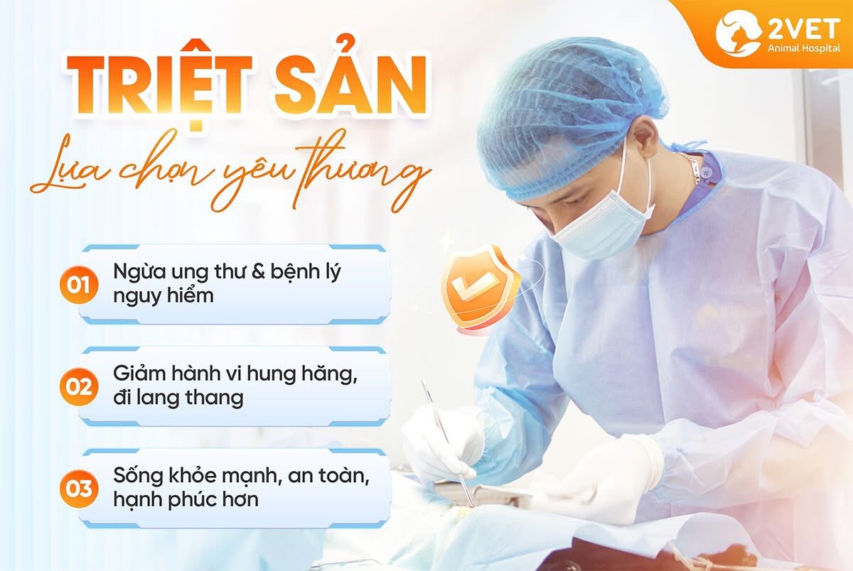 [🆕🇻🇳] Bệnh Viện Thú Y 2VET Long Biên 🐶🦜 Top1Pets 🐱🐠 THÚ CƯNG CHƯA TRIỆT SẢN? ĐÂY LÀ NHỮNG RỦI RO BÉ CÓ THỂ GẶP PHẢI
Triệt sản không chỉ liên quan đến việc kiểm soát số lượng thú cưng, mà còn đóng vai trò qua , shares-0✔️ , likes-3❤️️ , date-2025-09-27 16:58:12🐶🐱🇻🇳🇻🇳🇻🇳📰🆕