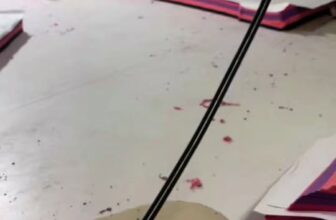 [🆕🇻🇳] Quần áo trẻ em – Likids – Chuyên sản xuất bỏ buôn, bỏ sỉ quần áo trẻ em, trong và ngoài nước 🧑‍🧒❤️️👶⭐️  , shares-0✔️ , likes-1❤️️ , date-2025-09-28 14:12:28🇻🇳🇻🇳🇻🇳📰🆕