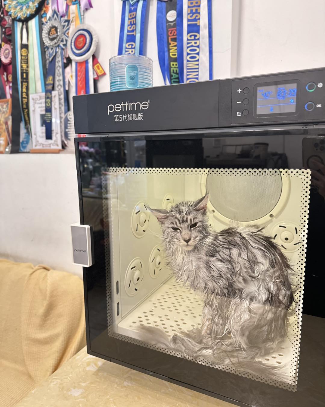 [🆕🇻🇳] J & Pet Shop Spa 🐶🦜 Top1Pets 🐱🐠  KITCHEN FLAVOR – SIÊU PHẨM THỨC ĂN HẠT CHO CÚN CƯNG
Ra mắt bộ 3 hương vị hấp dẫn:
Tôm Nam Cực – Giàu đạm, hỗ trợ hệ miễn dịch
Cá Hồi – Dưỡng da, mượt  , shares-0✔️ , likes-0❤️️ , date-2025-09-27 17:00:15🐶🐱🇻🇳🇻🇳🇻🇳📰🆕