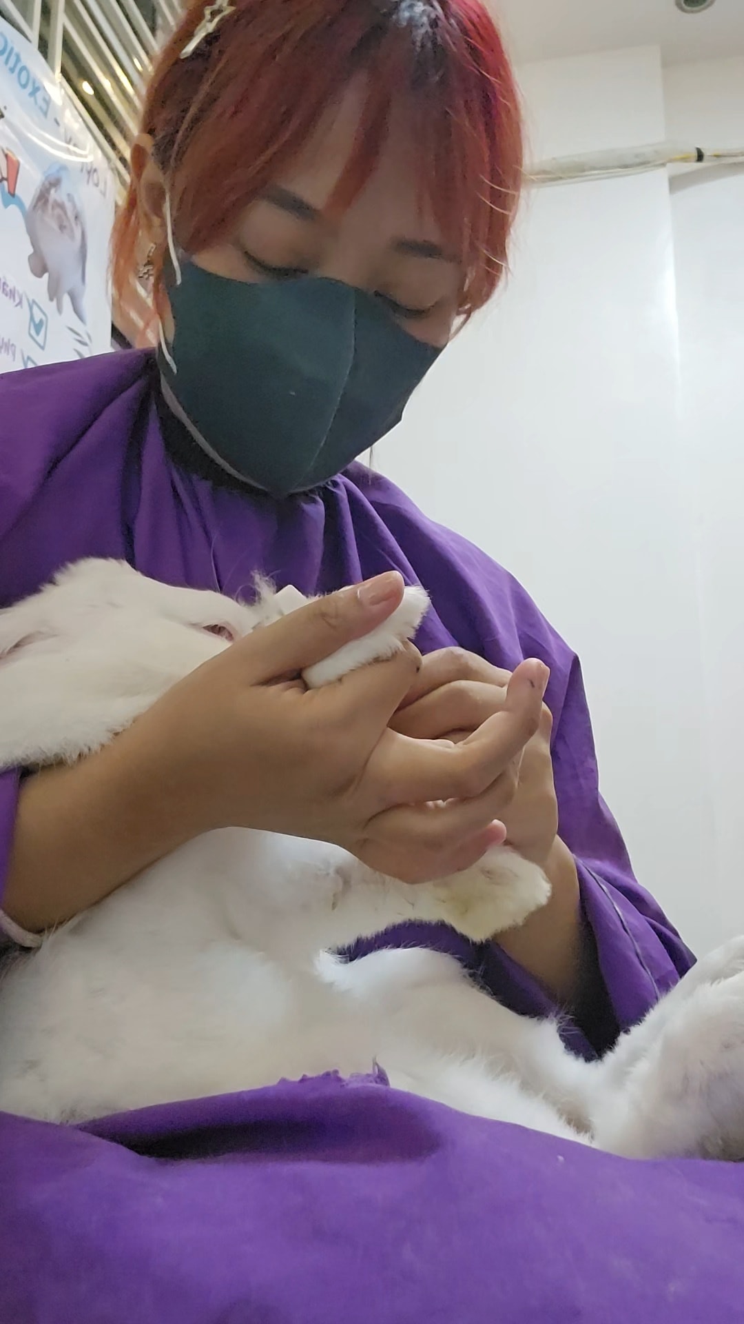 [🆕🇻🇳] Loppy Pet’s Home 🐶🦜 Top1Pets 🐱🐠 Hôm trước,  theo yêu cầu đặt lịch của Tình nguyện viên, Loppy vừa spa cho 2 bé thỏ bị bỏ rơi với chi phí 0đ
Hôm nay, nhân ngày mưa gió bão bùng, Loppy xi , shares-1✔️ , likes-15❤️️ , date-2025-09-30 22:29:20🐶🐱🇻🇳🇻🇳🇻🇳📰🆕