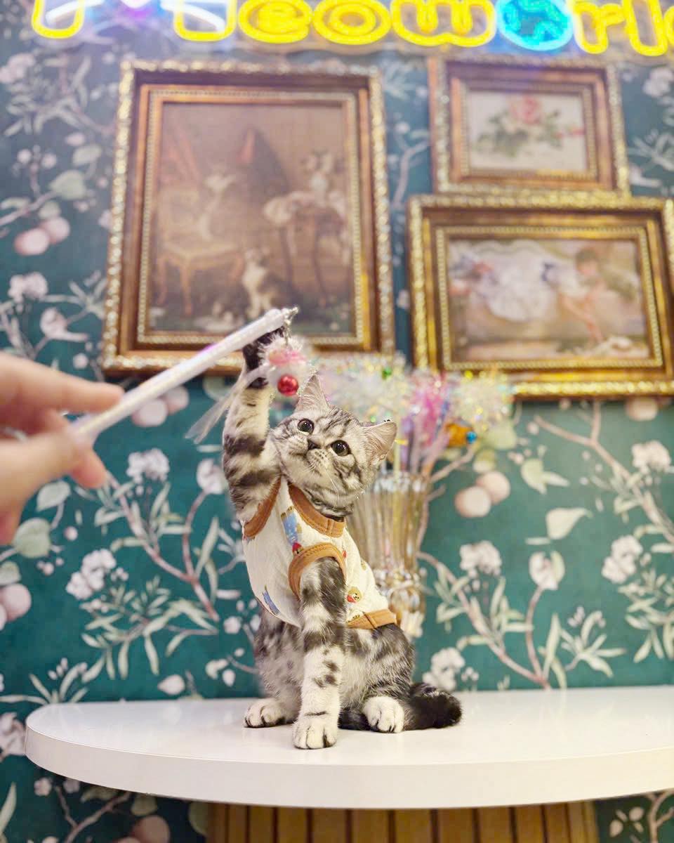 [🆕🇻🇳] JOLI — Women’s Fashion Brand 👕 Top1Fashion 👗  Trang ph\u1ee5c ch\u1ec9nh chu l\u00e0 b\u01b0\u1edbc \u0111\u1ea7u ti\u00ean ch\u1ea1m \u0111\u1ebfn th\u00e0nh c\u00f4ng. \u0110\u00f3 v\u1eabn l\u00e0 s , shares-0✔️ , likes-16❤️️ , date-2025-10-03 16:18:00🇻🇳🇻🇳🇻🇳📰🆕