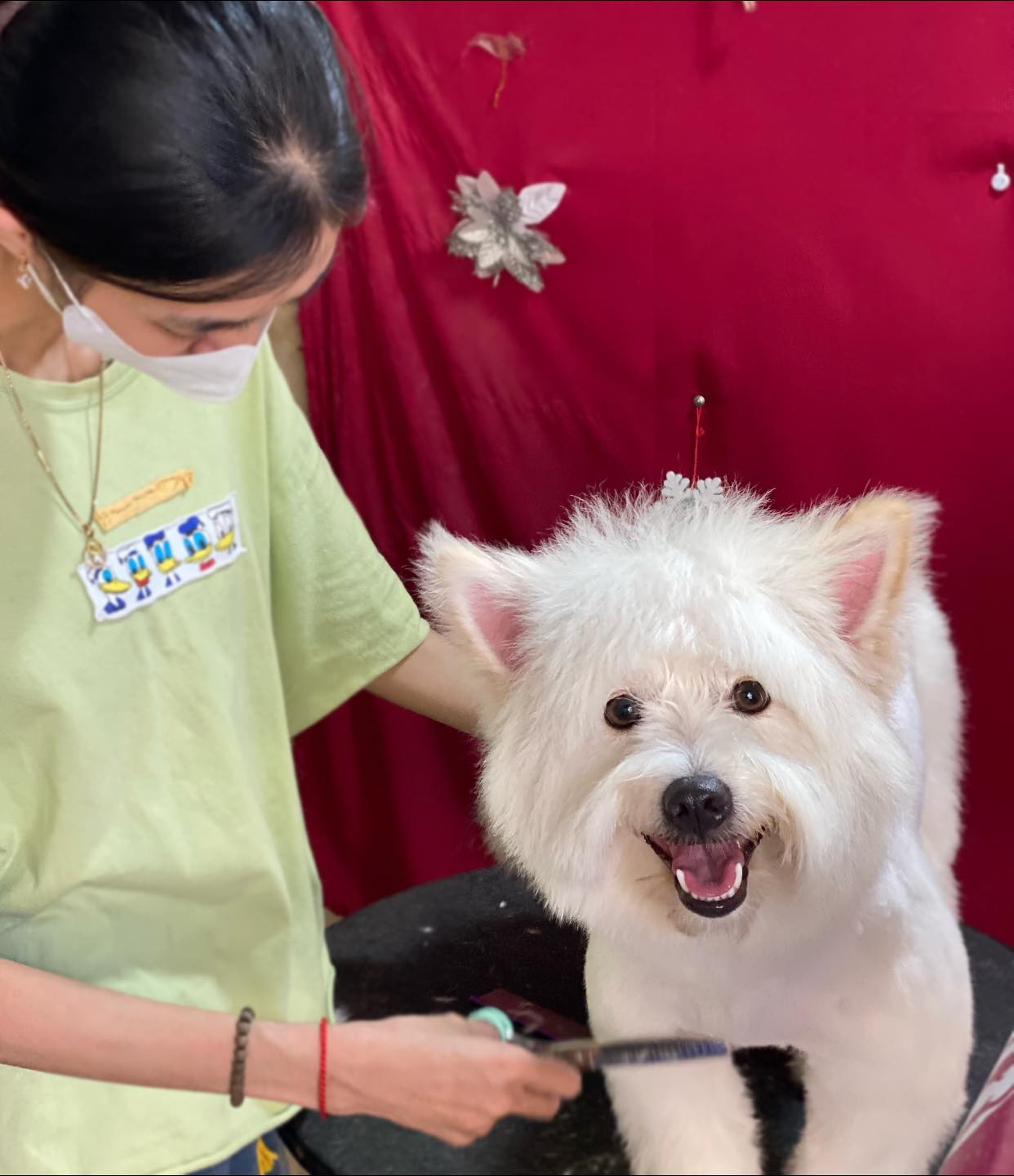 [🆕🇻🇳] Loyal Pet – Dịch Vụ Thú Cưng 🐶🦜 Top1Pets 🐱🐠   Loyal Pet: Tháng 10 NÀY CÓ GÌ? DEAL SỐC NGẬP TRÀN CHĂM SÓC BOSS YÊU!
Boss ơi, còn chần chờ gì mà không đến Loyal Pet ngay thôi! Tháng 10 này, Loyal Pet  , shares-1✔️ , likes-0❤️️ , date-2025-10-01 03:00:29🐶🐱🇻🇳🇻🇳🇻🇳📰🆕