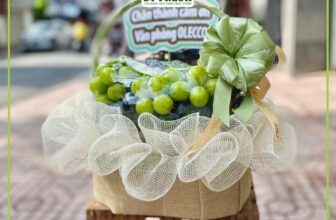 [🆕🇻🇳] Di Fresh Fruits – Cửa hàng trái cây nhập khẩu tươi sạch 🍔 Top1Food  🍜 GIỎ QUẢ XINH – TRÁI CÂY TƯƠI NGON
Giỏ quả với ngân sách từ #550k thiết kế gọn gàng, dễ dàng mang đi thăm tặng trong mọi dịp ạ
—————————————————-
Ship hoả  , shares-0✔️ , likes-1❤️️ , date-2025-09-30 23:21:45🇻🇳🇻🇳🇻🇳📰🆕