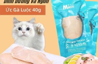[🆕🇻🇳] Mun Spa & Petshop 🐶🦜 Top1Pets 🐱🐠 Ức gà tươi hấp ăn liền Masti 40g
Nguyên Liệu Chính:Ức Gà,Bột Protein,Ngô.
Nguyên liệu hoàn toàn sạch, giữ được độ tươi và dinh dưỡng của thịt.HẠN SỬ DỤNG , shares-0✔️ , likes-0❤️️ , date-2025-09-30 20:32:28🐶🐱🇻🇳🇻🇳🇻🇳📰🆕