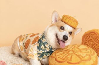 [🆕🇻🇳] Nấm Pet – Spa & Dịch Vụ Thú Cưng Tp Thái Bình 🐶🦜 Top1Pets 🐱🐠  NẤM PET SPA – ƯU ĐÃI ĐẶC BIỆT
Giảm 10-15% cho các dịch vụ spa combo tắm cắt tỉaDịch vụ chăm sóc thú cưng:
• Tắm gội, vệ sinh sạch sẽ
• Cắt tỉa lông  , shares-1✔️ , likes-103❤️️ , date-2025-10-02 21:19:05🐶🐱🇻🇳🇻🇳🇻🇳📰🆕