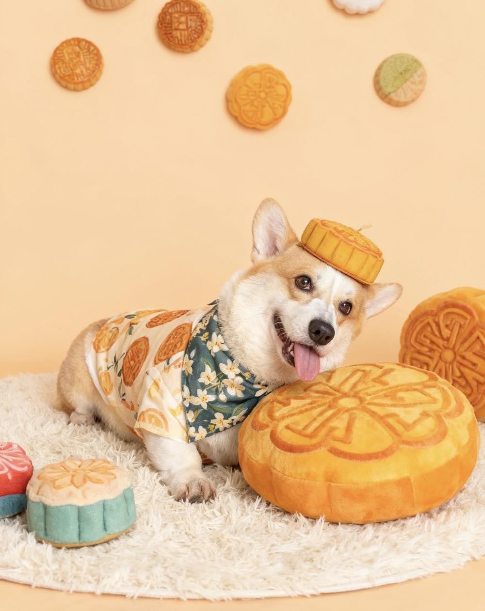 [🆕🇻🇳] Nấm Pet – Spa & Dịch Vụ Thú Cưng Tp Thái Bình 🐶🦜 Top1Pets 🐱🐠  NẤM PET SPA – ƯU ĐÃI ĐẶC BIỆT
Giảm 10-15% cho các dịch vụ spa combo tắm cắt tỉaDịch vụ chăm sóc thú cưng:
• Tắm gội, vệ sinh sạch sẽ
• Cắt tỉa lông  , shares-1✔️ , likes-103❤️️ , date-2025-10-02 21:19:05🐶🐱🇻🇳🇻🇳🇻🇳📰🆕