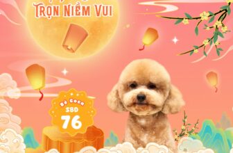 [🆕🇻🇳] Pupdy Vietnam – nơi Boss & Sen giải bầy nổi niềm 🐶🦜 Top1Pets 🐱🐠  Ứng cử viên “Bé Coca – SBD 71” đã xuất hiện!
Tên bé: Bé Coca
Tuổi: 2 Tuổi
Tính cách:  Buổi sáng trầm tĩnh, đêm về tăng động.
Thông tin thêm: bé trai  , shares-1✔️ , likes-7❤️️ , date-2025-10-05 00:15:02🐶🐱🇻🇳🇻🇳🇻🇳📰🆕