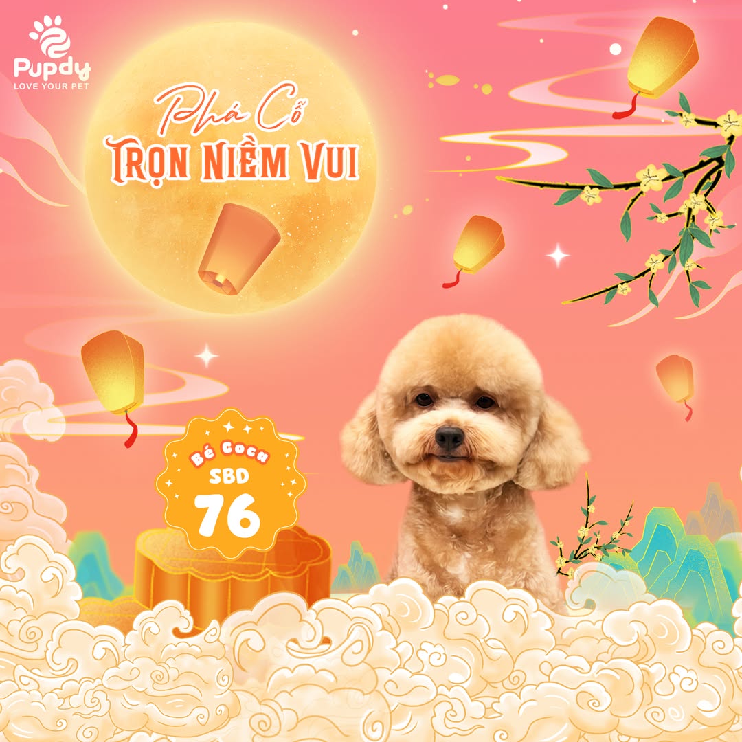 [🆕🇻🇳] Pupdy Vietnam – nơi Boss & Sen giải bầy nổi niềm 🐶🦜 Top1Pets 🐱🐠  Ứng cử viên “Bé Coca – SBD 71” đã xuất hiện!
Tên bé: Bé Coca
Tuổi: 2 Tuổi
Tính cách:  Buổi sáng trầm tĩnh, đêm về tăng động.
Thông tin thêm: bé trai  , shares-1✔️ , likes-7❤️️ , date-2025-10-05 00:15:02🐶🐱🇻🇳🇻🇳🇻🇳📰🆕