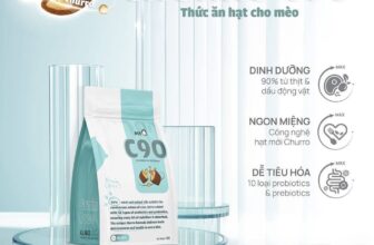 [🆕🇻🇳] CiciPets – Tiệm làm đẹp thú cưng 🐶🦜 Top1Pets 🐱🐠  Định nghĩa mới cho thức ăn mèo chất lượng – Hạt Churro C90 PetQCông nghệ hạt Churro nhân thịt hoàn toàn mới
Mỗi hạt đều bao bọc phần nhân “vàng” gồm c , shares-0✔️ , likes-1❤️️ , date-2025-10-03 15:54:19🐶🐱🇻🇳🇻🇳🇻🇳📰🆕